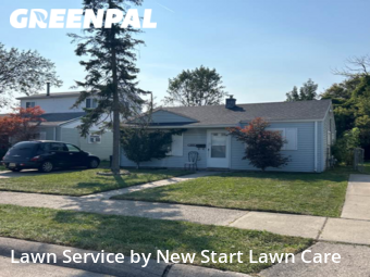 Grass Cut nearby Roseville, MI, 