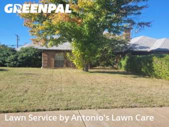 Weed Trimming in Cedar Hill, 75104, Yard Grooming by Antonio's Lawn Care, work completed in Dec , 2025