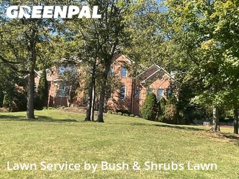 Lawn Cutin Brentwood,37027,Lawn Maintenance by Bush & Shrubs Lawn, work completed in Nov , 2025