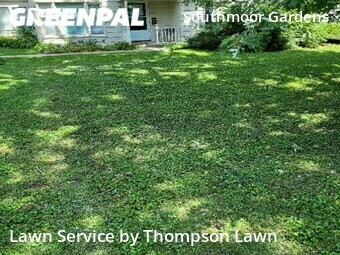 Grass Cut nearby Overland Park, KS, 