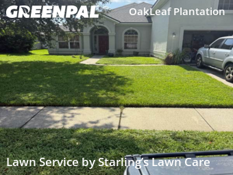 Yard Cutting nearby Orange Park, FL, 