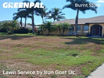 Lawn Mow nearby Cape Coral, FL, 