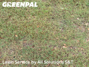 Lawn Mowing nearby Poinciana, FL, 