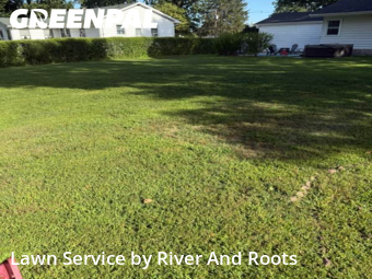 Yard Work in Poughkeepsie, 12601, Turf Services by River And Roots , work completed in Nov , 2025