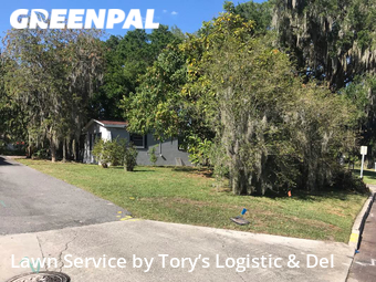 Grass Cut nearby Lakeland, FL, 
