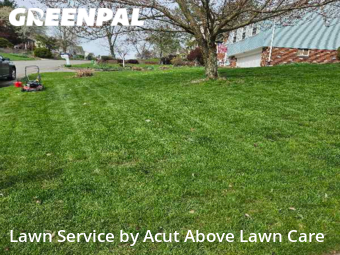 Lawn Mow nearby Pittsburgh, PA, 