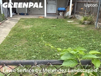 Lawn mowed in Baltimore, 21217