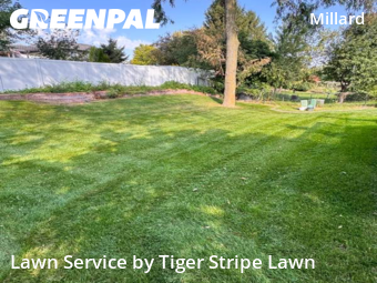 Lawn Cutting nearby Omaha, NE, 