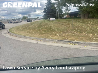 Lawn Mowing nearby Detroit, MI, 