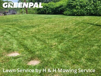 Lawn Mow nearby University City, MO, 