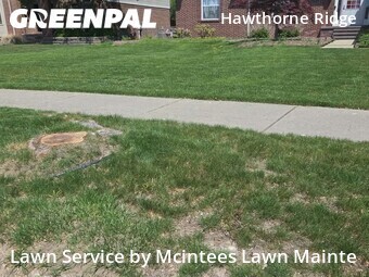 Lawn Care Service nearby Flat Rock, MI, 
