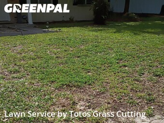 Lawn Service nearby Forest City, FL, 