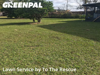 Lawn Service nearby Jacksonville, FL, 
