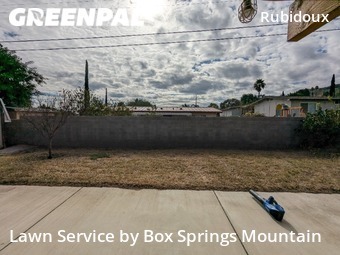 Grass Cutting nearby Riverside, CA, 