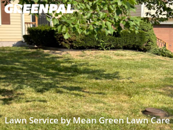 Grass Cutting nearby Lee's Summit, MO, 
