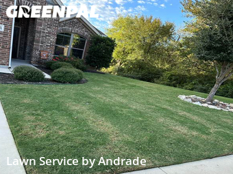 Lawn Cut nearby Fort Worth, TX, 