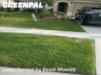 Lawn Mow nearby Zephyrhills, FL, 