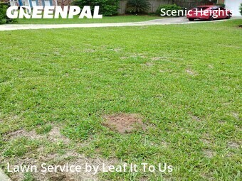Local Lawn And Landscape Maintenance Services Near Me In Tallahassee,32303,Landscaping Renovation by Leaf It To Us , work completed in Jun , 2026
