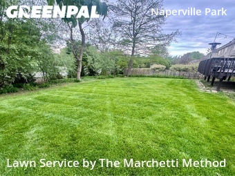 Lawn Care nearby Naperville, IL, 