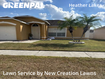 Lawn Cuttingin Brandon,33511,Yard Mowing by New Creation Lawns, work completed in Oct , 2025