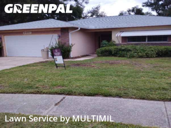 Grass Cutin Palm Harbor,34683,Lawn Cut by MULTIMIL , work completed in Feb , 2026