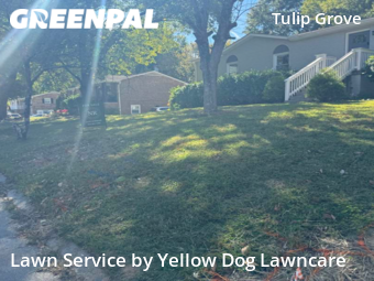 Lawn Mow nearby Nashville, TN, 