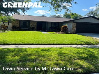 Lawn Mow nearby Tampa, FL, 