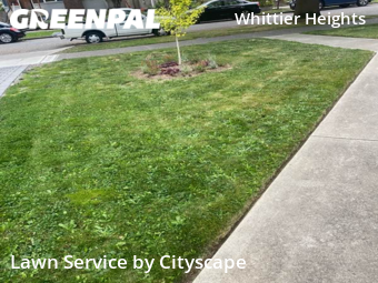 Lawn Maintenance nearby Seattle, WA, 