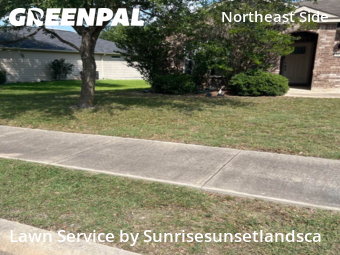 Grass Cut nearby Schertz, TX, 