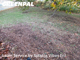 Lawn Service nearby Naugatuck, CT, 