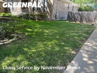 Landscaping Renovation In Austin,78727,Landscaping Maintenance by November Seven, work completed in Jul , 2026