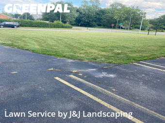 Grass Cutting nearby Detroit, MI, 