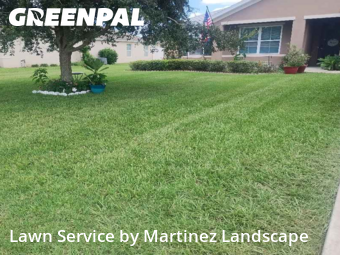Grass Cut nearby Ocala, FL, 