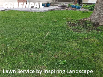 Grass Cutin Centennial,80015,Lawn Maintenance by Inspiring Landscape, work completed in Nov , 2025