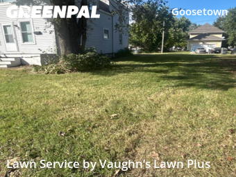 Lawn Mowing in Evansville, 47713, Yard Maintenance by Vaughn’s Lawn Plus, work completed in Nov , 2025