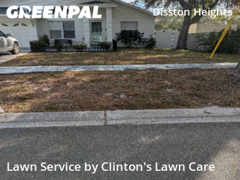 Lawn Care Service nearby St. Petersburg, FL, 