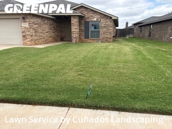 Lawn Care nearby Lubbock, TX, 