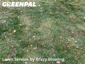 Yard Cutting nearby Garden City, MI, 