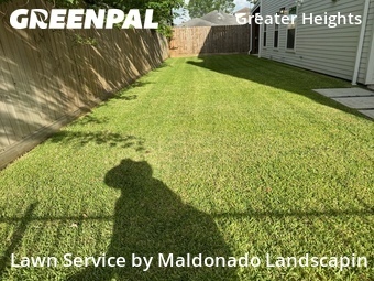 Lawn Cut nearby Houston, TX, 