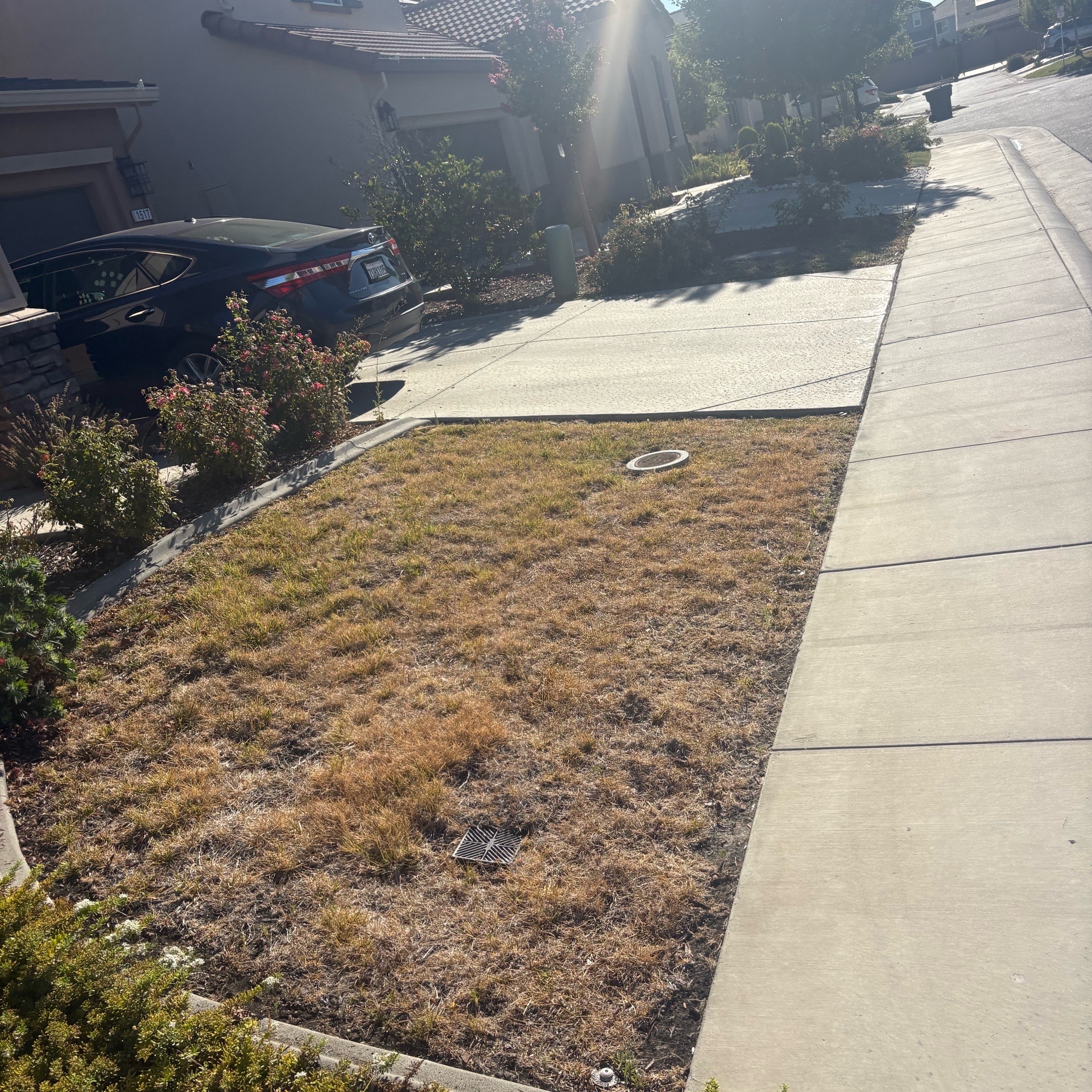Lawn mowing work by Mojica Lawn Care Llc in Rocklin, CA