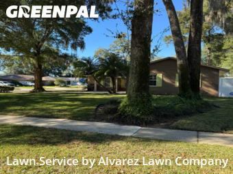 Lawn Cutin Altamonte Springs,32714,Lawn Cutting by Alvarez Lawn Company, work completed in Jan , 2026