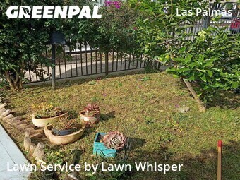 Landscaping Installation Oakland,94603,Landscaping by Lawn Whisper , work completed in Apr , 2026