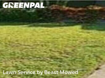 Lawn Maintenance nearby Tampa, FL, 
