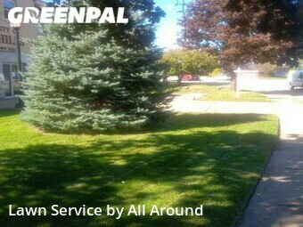 Lawn Cut nearby Penn Hills, PA, 