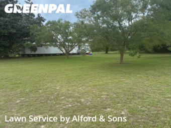 Lawn Cutting nearby Gainesville, FL, 