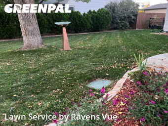 Yard Cutting nearby Loveland, CO, 