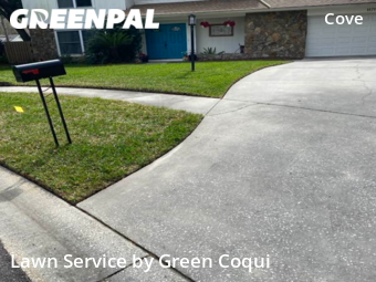 Grass Cut nearby Tampa, FL, 