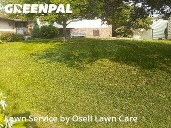 Yard Cutting nearby Plymouth, MN, 