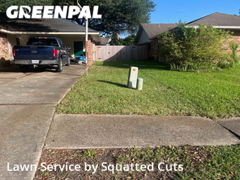 Lawn Mowing nearby Lafayette, LA, 