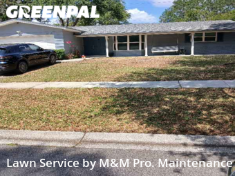 Grass Cut nearby Clearwater, FL, 